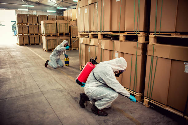 Best Pest Inspection Near Me  in Crouch Mesa, NM
