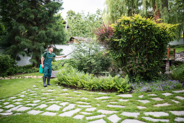 Best Pest Control Treatment  in Crouch Mesa, NM