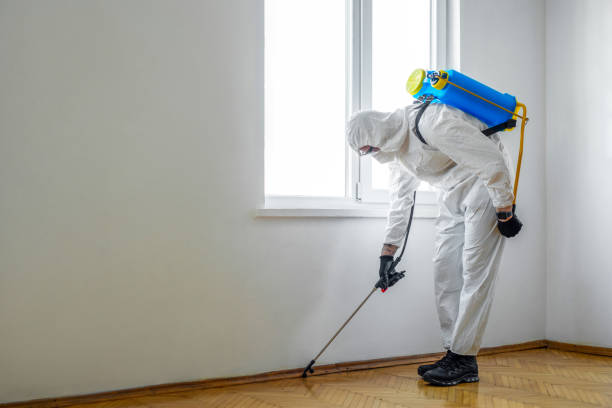 Best Affordable Pest Control Services  in Crouch Mesa, NM