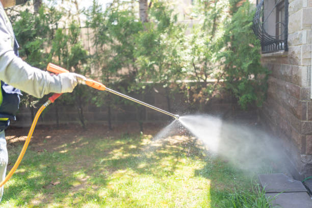 Best Wasp Removal Services  in Crouch Mesa, NM