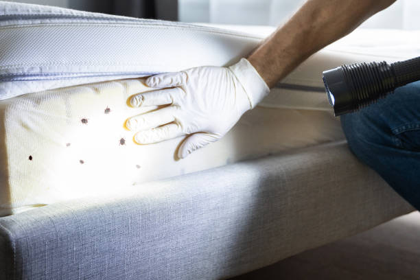 Best Best Pest Control Companies  in Crouch Mesa, NM