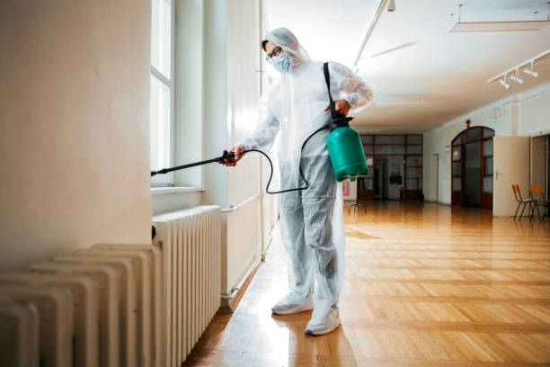 Flea Control Services in Crouch Mesa, NM
